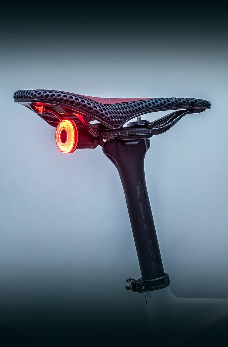 Smart Bike Tail Light Bicycle Rear Lights IPX6 Waterproof Bike Lights for Night Riding with Type C Rechargeable