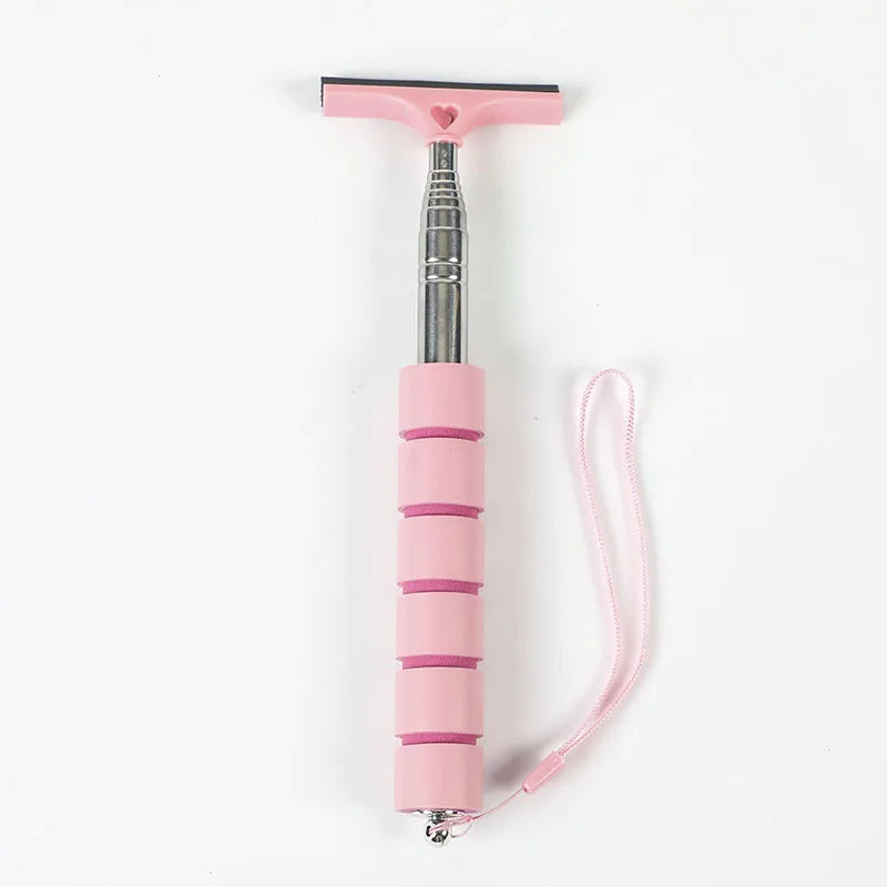 Telescopic Car Rearview Mirror Wiper & Squeegee