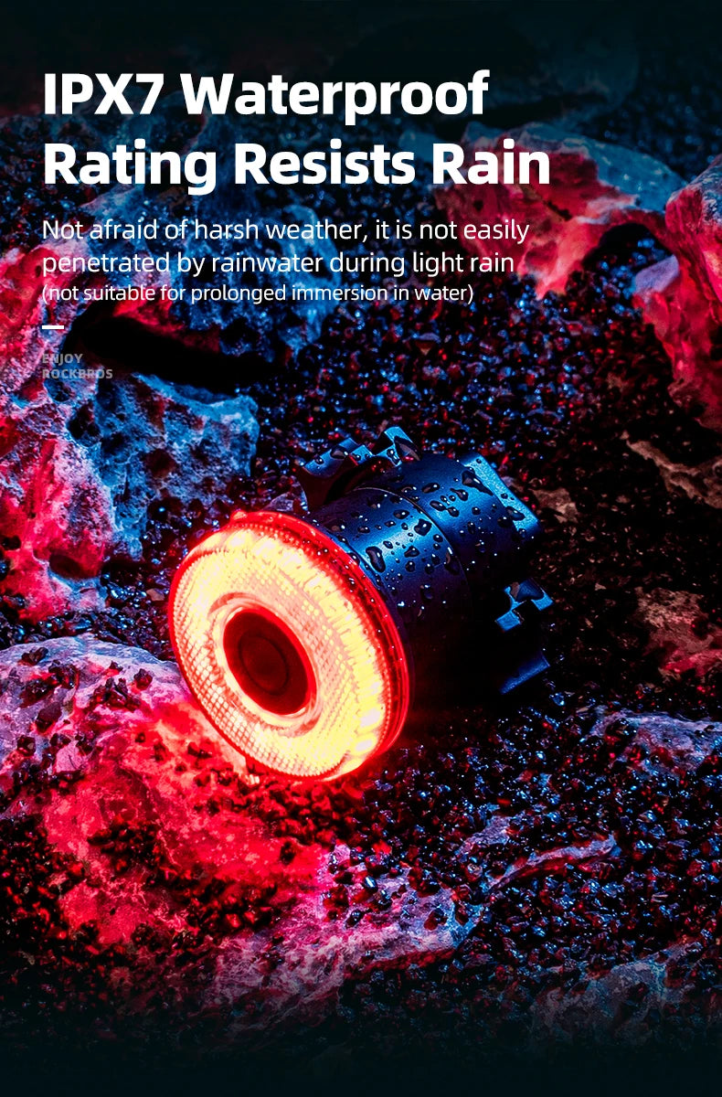 Smart Bike Tail Light Bicycle Rear Lights IPX6 Waterproof Bike Lights for Night Riding with Type C Rechargeable