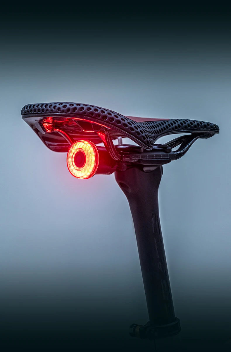 Smart Bike Tail Light Bicycle Rear Lights IPX6 Waterproof Bike Lights for Night Riding with Type C Rechargeable