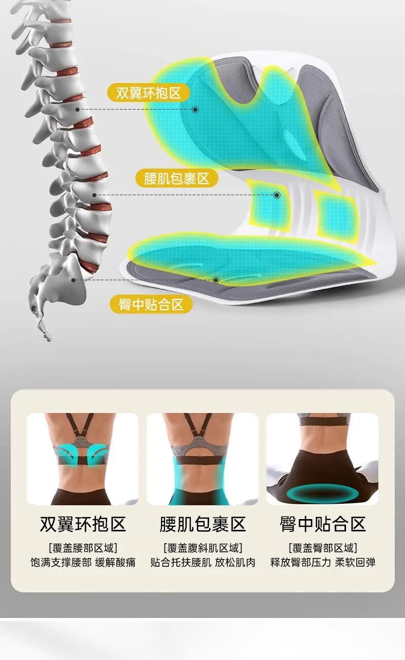 Positive waist cushion, sedentary artifact, anthropological waist support cushion, seat waist support, office cushion massage
